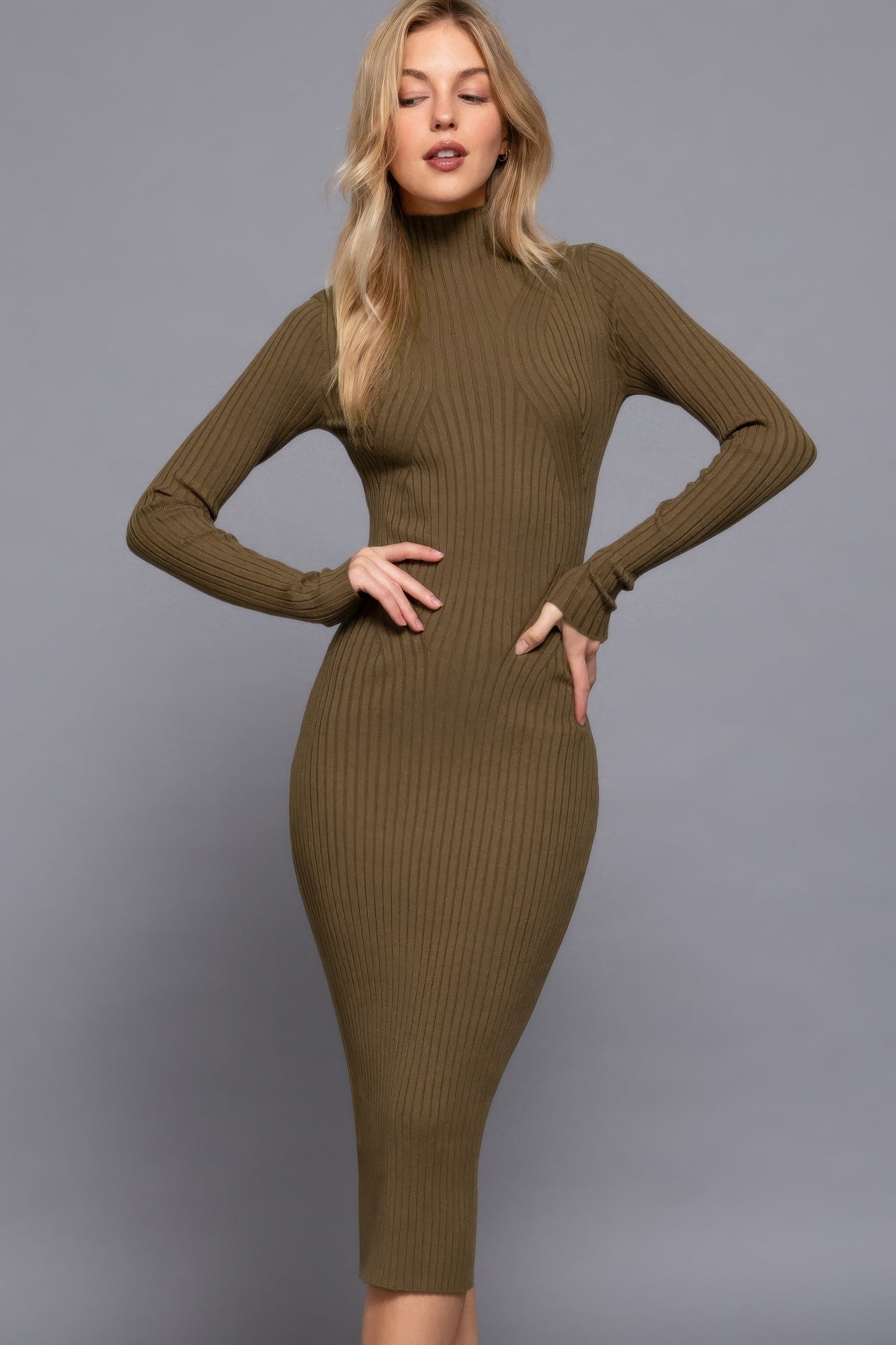 Long Sleeve High Neck Sweater Long Dress